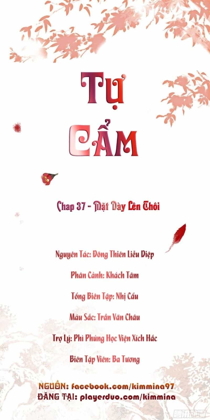 Tự Cẩm - Chương 37 - ảnh 2