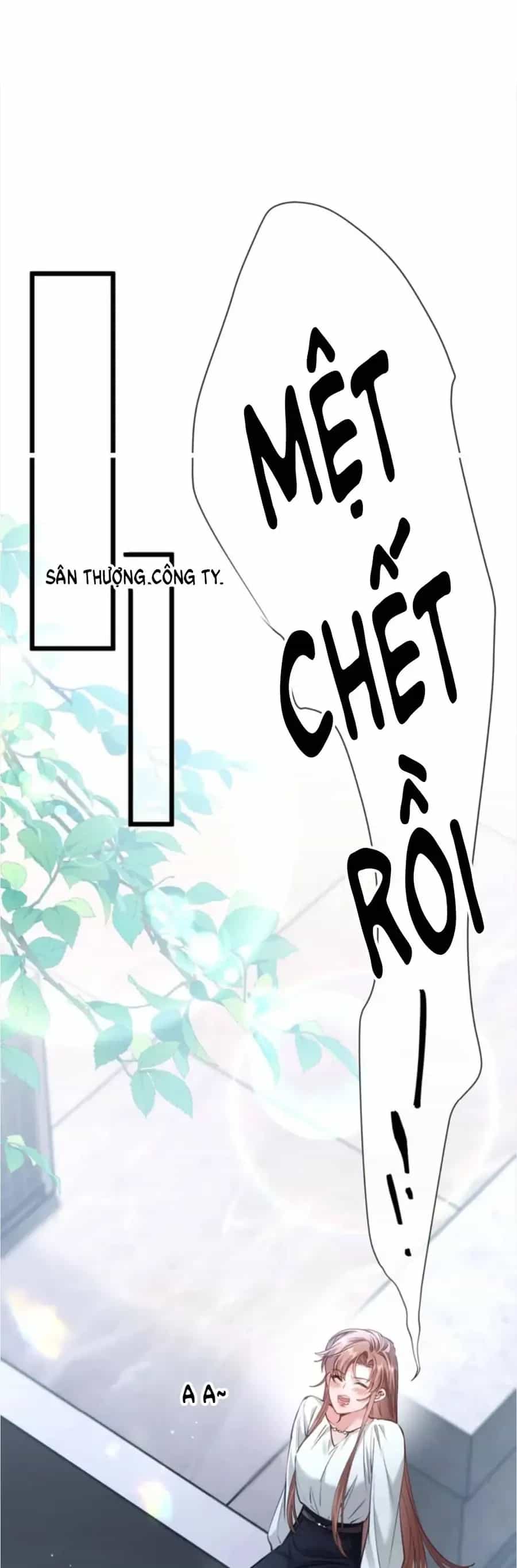 Từ Chối Hiến Thận, Tôi Trở Thành Mợ Út Của Người Yêu Cũ - Chương 36 - ảnh 2