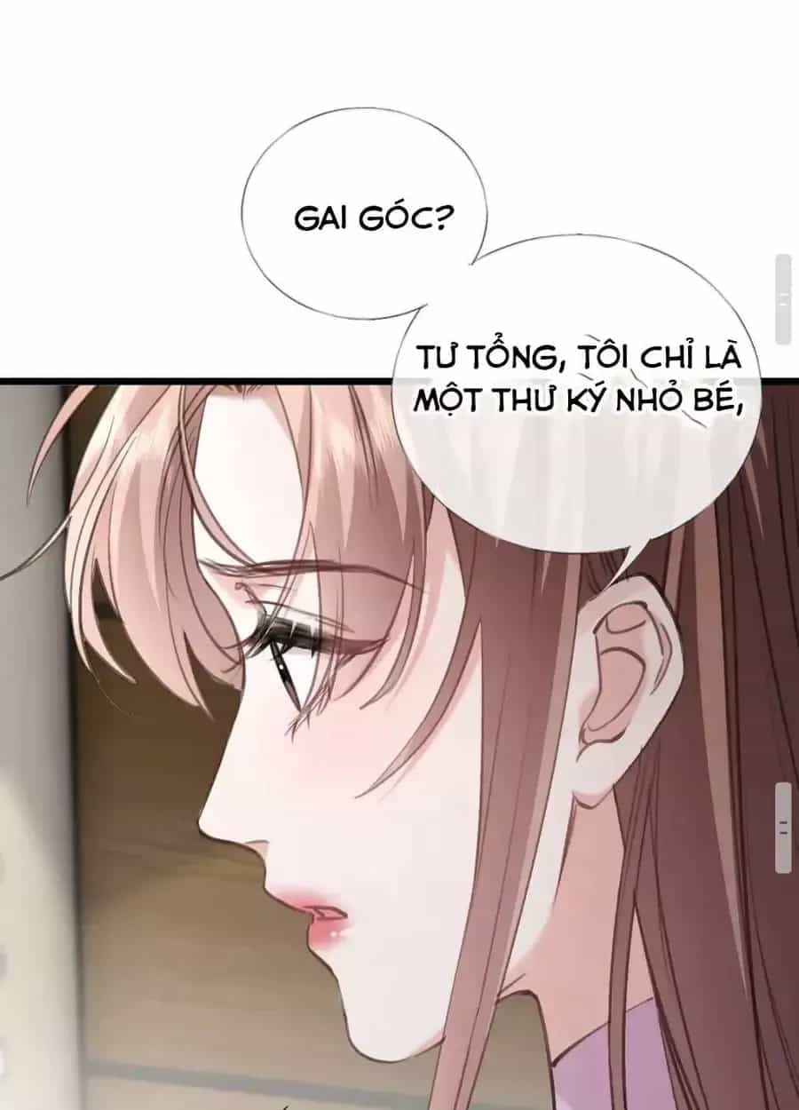 Từ Chối Hiến Thận, Tôi Trở Thành Mợ Út Của Người Yêu Cũ - Chương 44 - ảnh 35