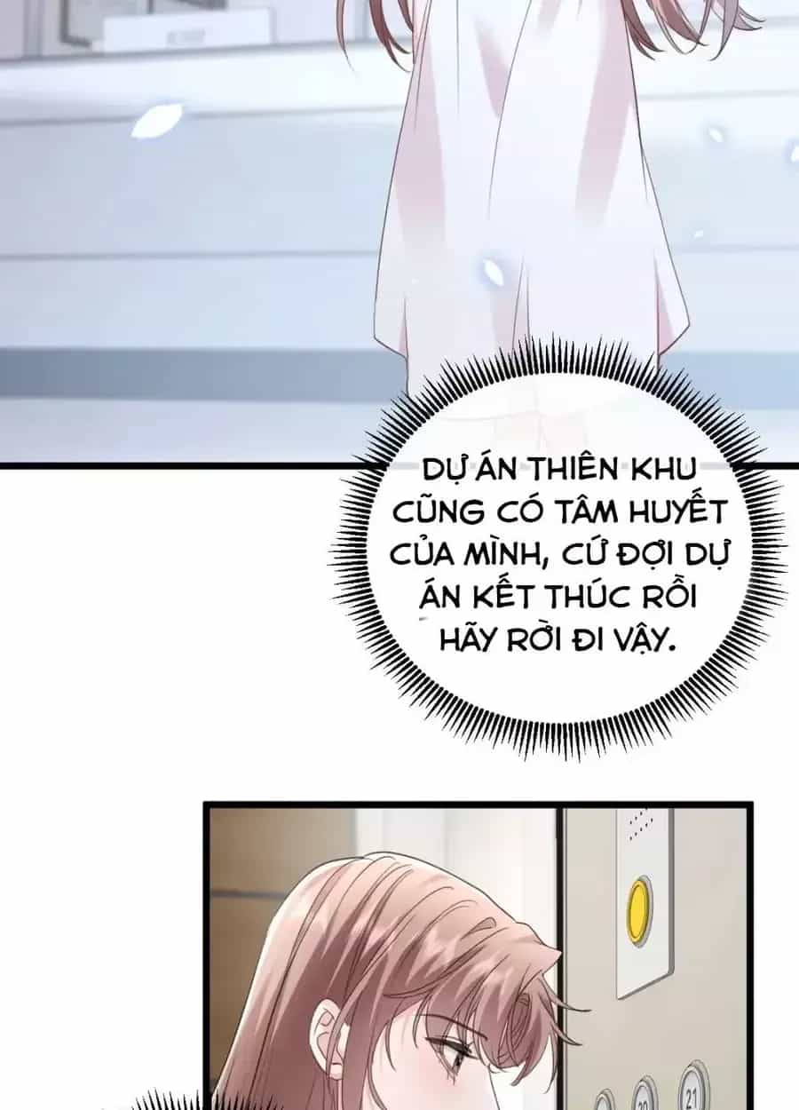 Từ Chối Hiến Thận, Tôi Trở Thành Mợ Út Của Người Yêu Cũ - Chương 44 - ảnh 4