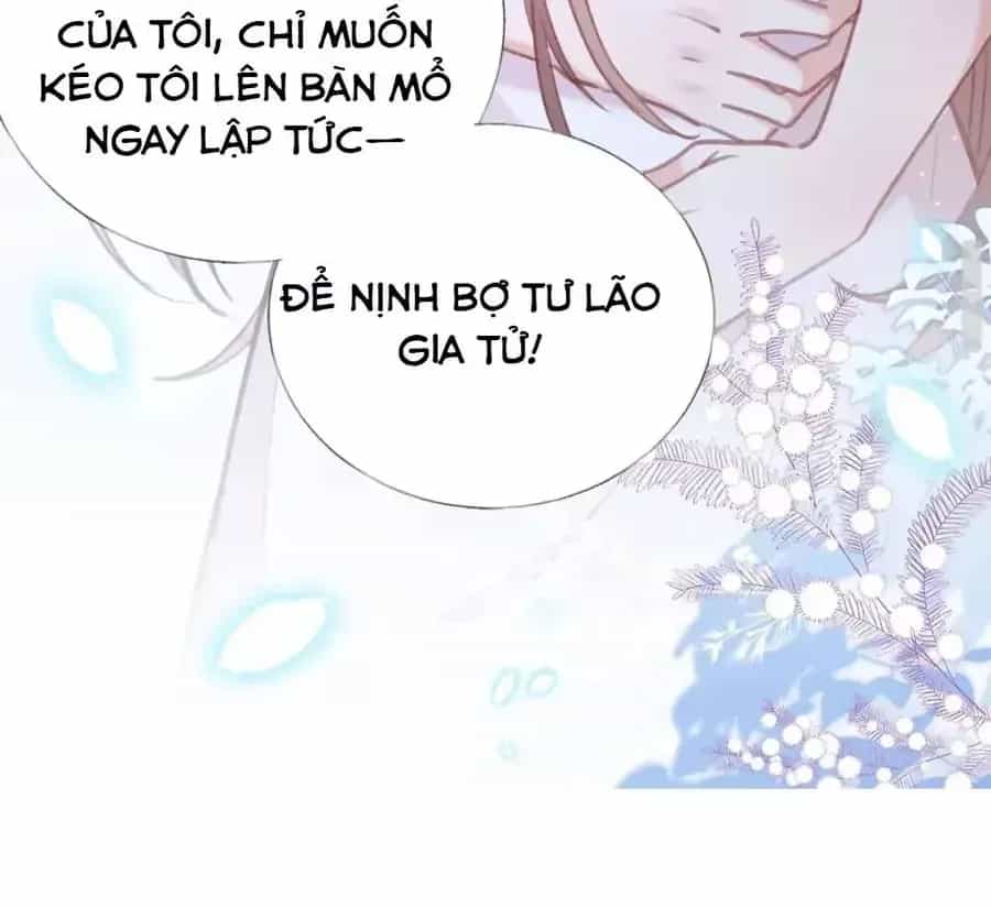 Từ Chối Hiến Thận, Tôi Trở Thành Mợ Út Của Người Yêu Cũ - Chương 44 - ảnh 42