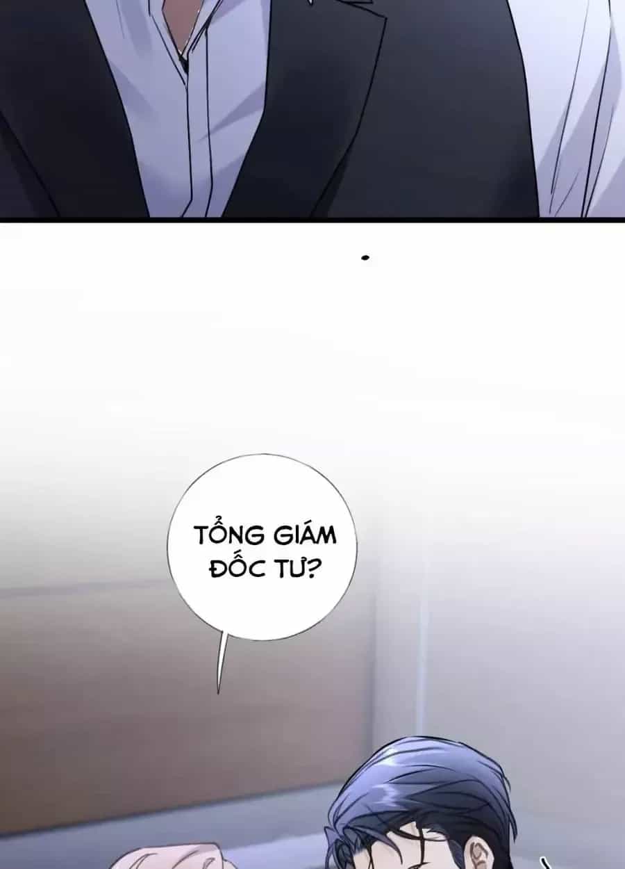 Từ Chối Hiến Thận, Tôi Trở Thành Mợ Út Của Người Yêu Cũ - Chương 45 - ảnh 21