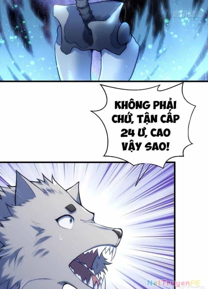 Từ Dã Quái Bắt Đầu Thăng Cấp - Chương 14 - ảnh 39