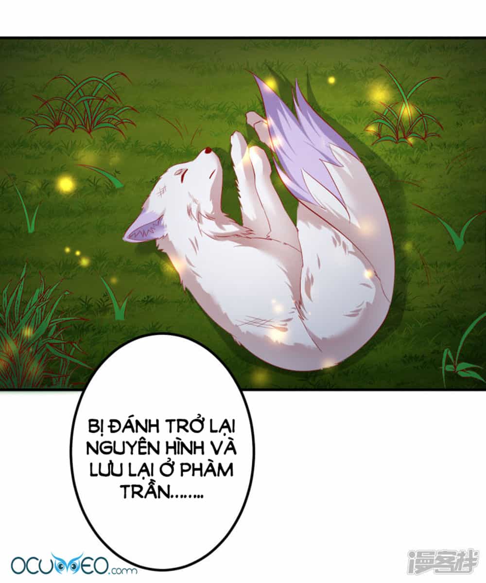 Từ Đây Vương Gia Không Thượng Triều Sớm - Chương 56 - ảnh 20