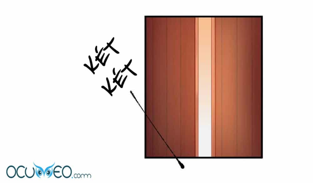 Từ Đây Vương Gia Không Thượng Triều Sớm - Chương 59 - ảnh 12