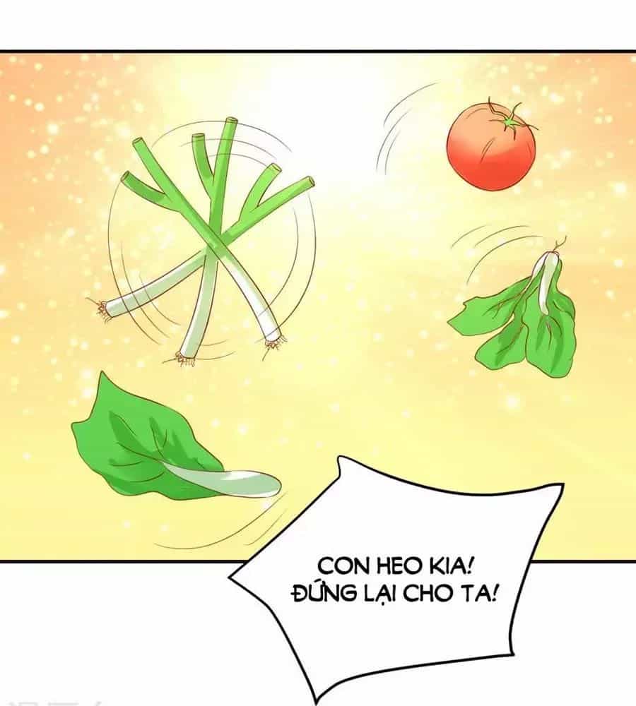Từ Đây Vương Gia Không Thượng Triều Sớm - Chương 86 - ảnh 24