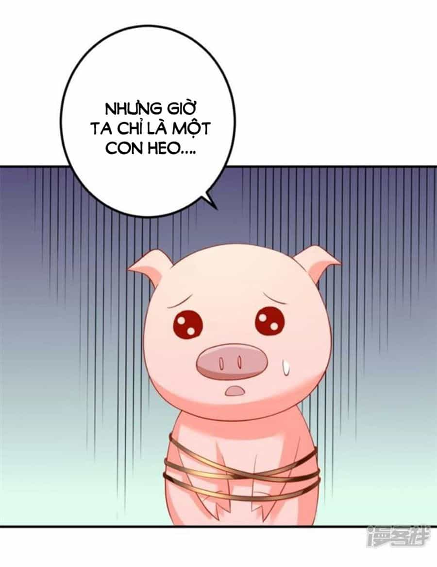 Từ Đây Vương Gia Không Thượng Triều Sớm - Chương 99 - ảnh 19