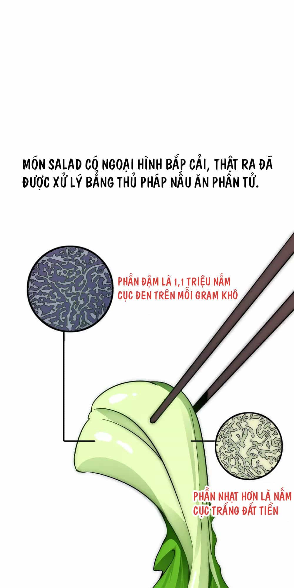 Từ Hôm Nay Bắt Đầu Làm Người Giàu Nhất - Chương 8 - ảnh 14