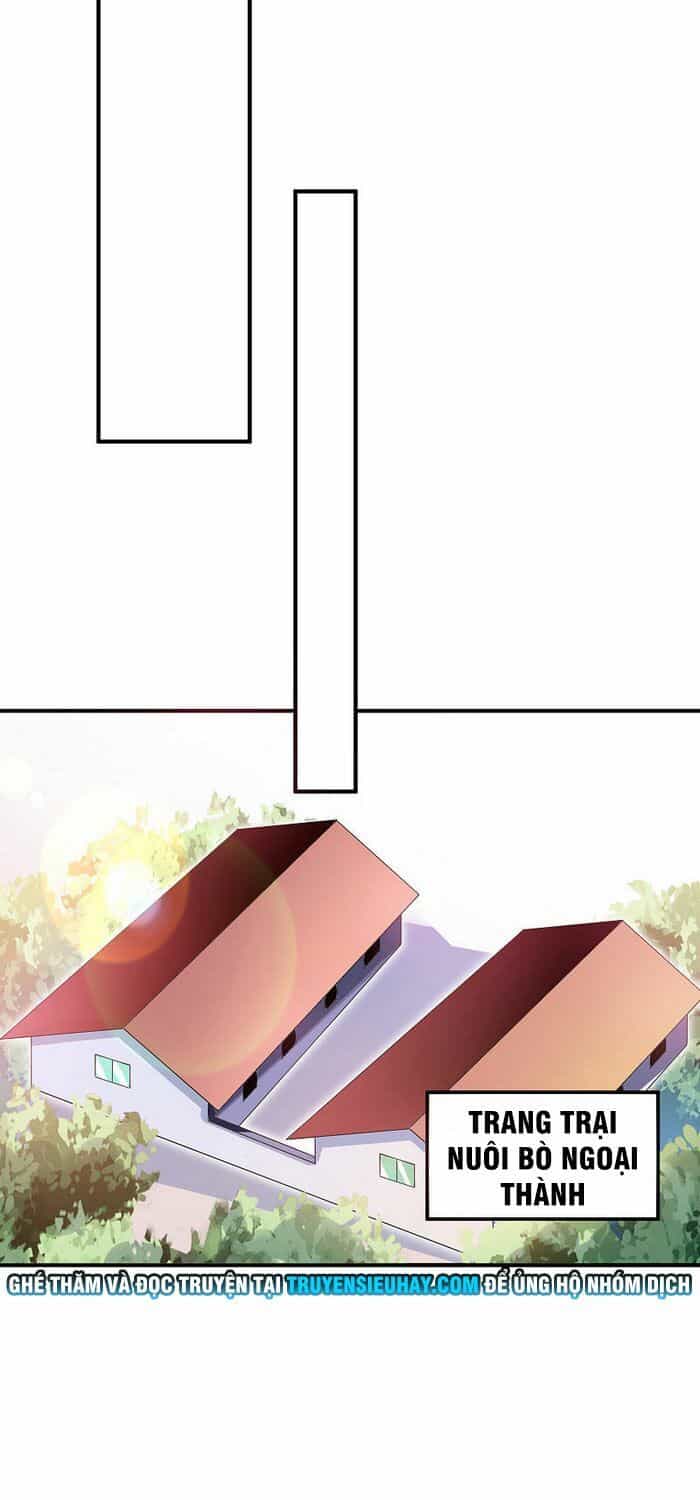 Từ Hôm Nay Bắt Đầu Làm Người Giàu Nhất - Chương 168 - ảnh 15