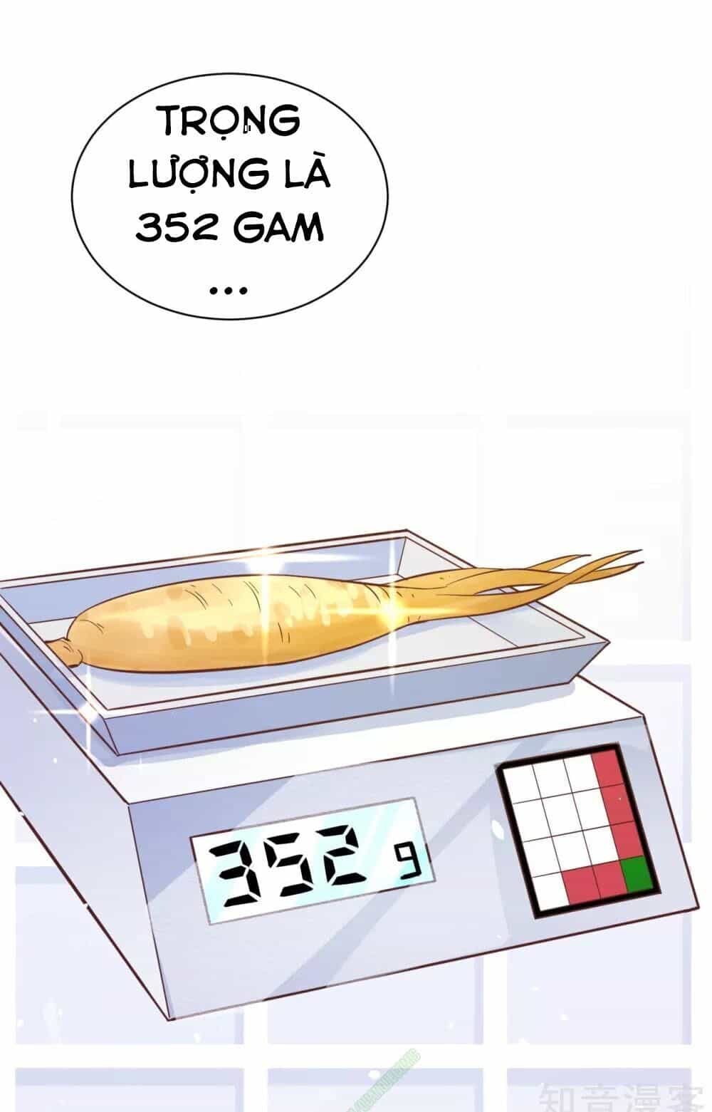 Từ Hôm Nay Bắt Đầu Làm Thành Chủ - Chương 94 - ảnh 23