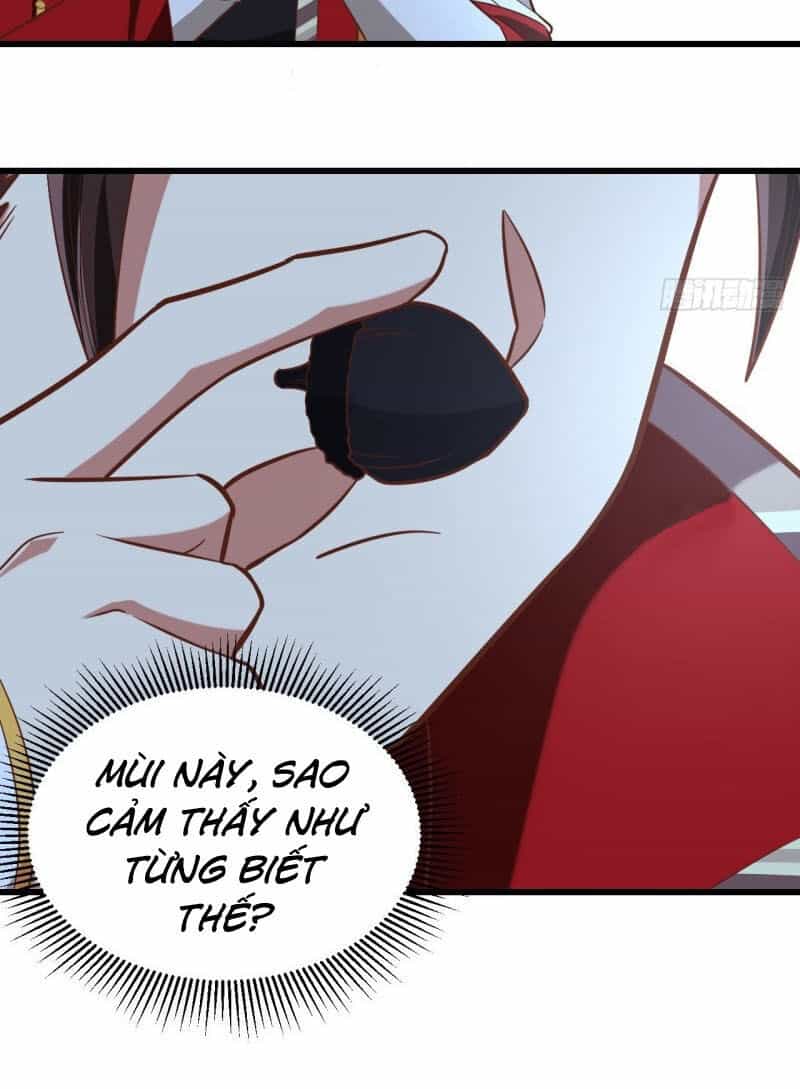 Từ Hôm Nay Bắt Đầu Làm Thành Chủ - Chương 217 - ảnh 16