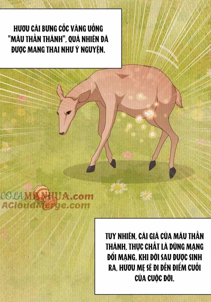 Từ Hôm Nay Bắt Đầu Làm Thành Chủ - Chương 481 - ảnh 10