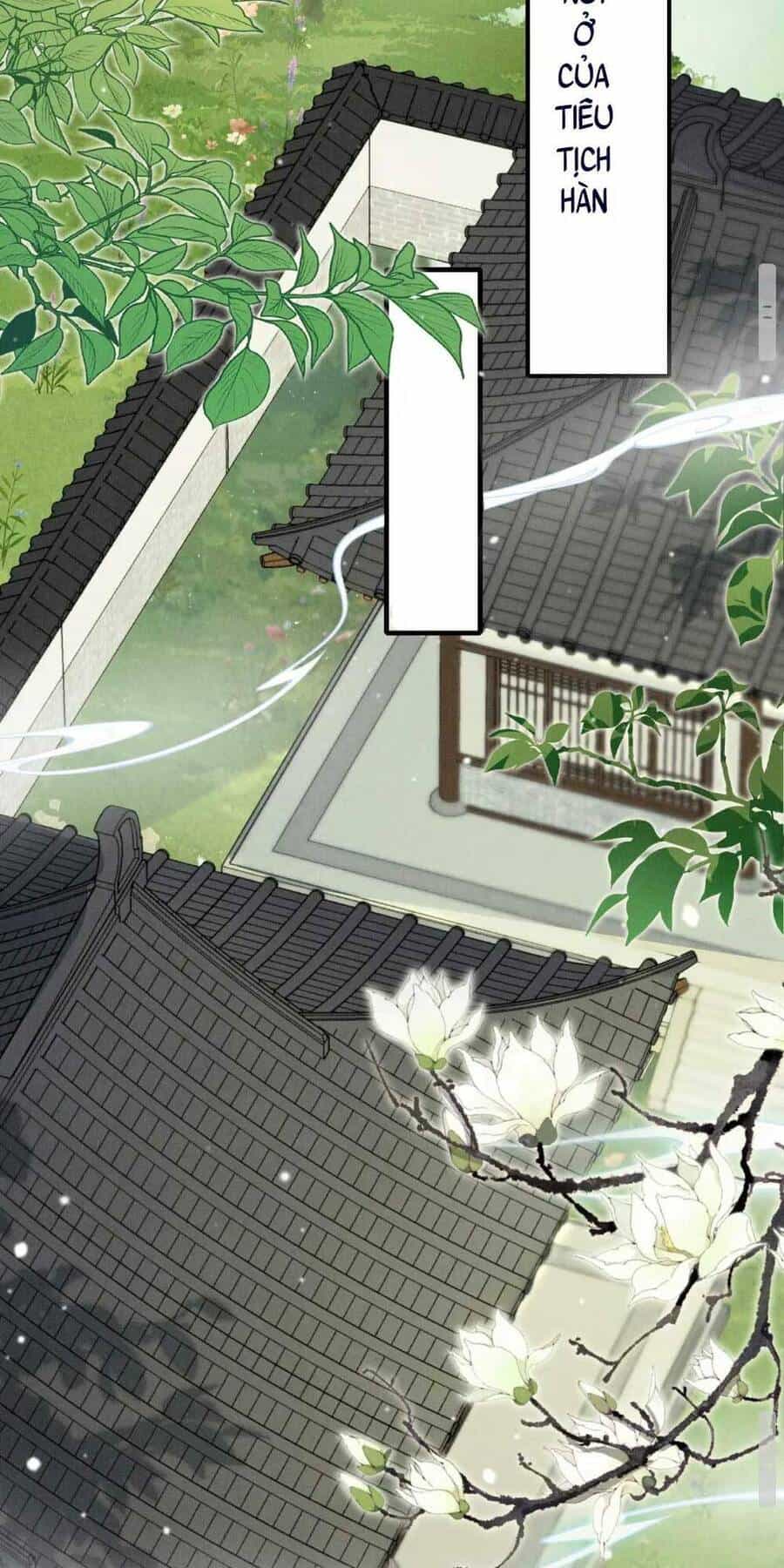 Tu Tiên Công Lược : Mở Đầu Ta Ngược Đãi Nam Chủ - Chương 10 - ảnh 26