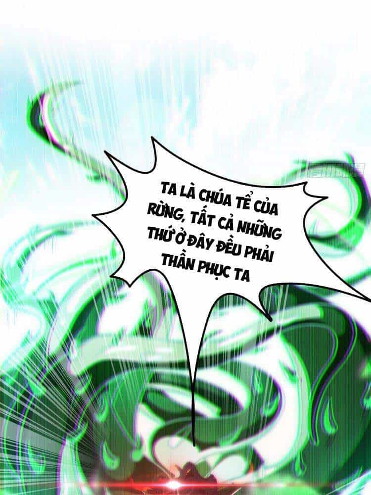 Tu Tiên Ở Thế Giới Siêu Năng Lực - Chương 3 - ảnh 10