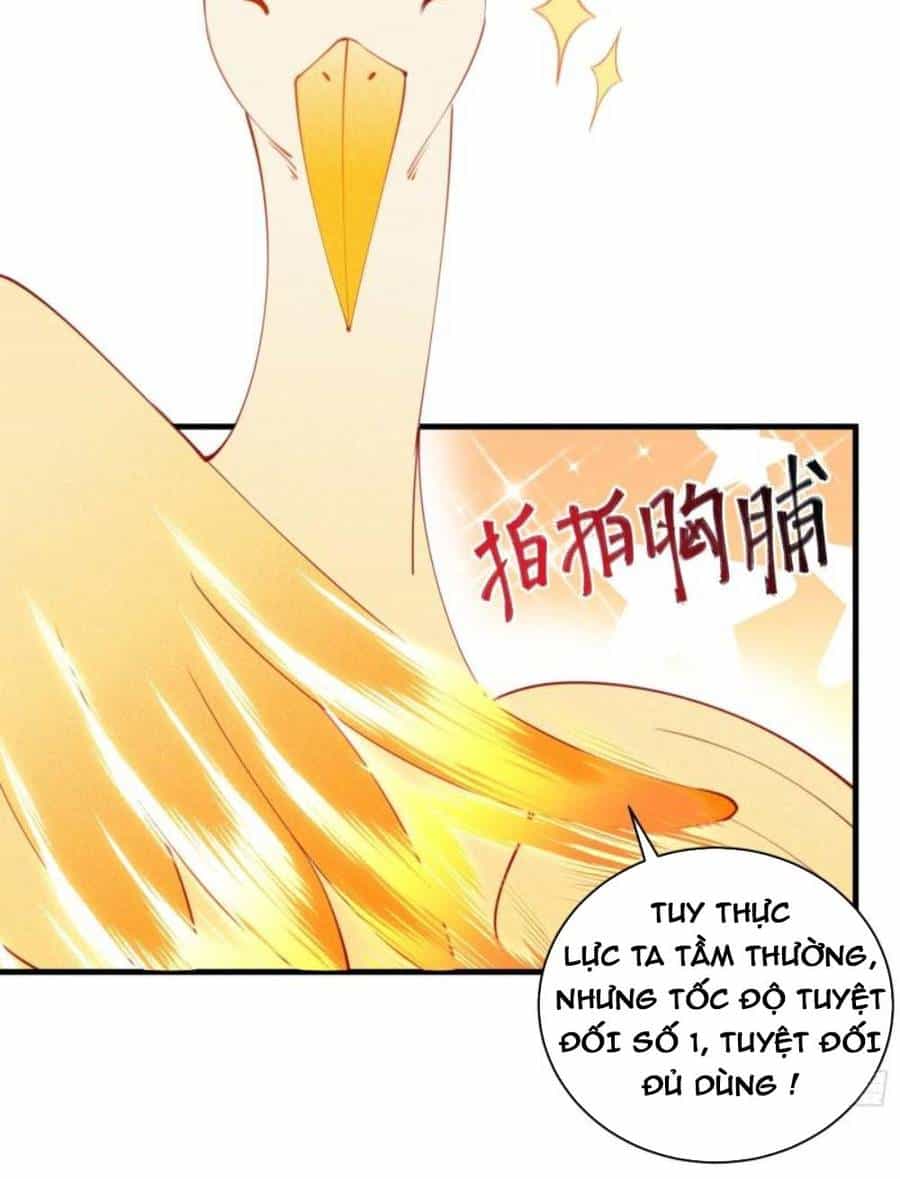 Tu Tiên Phải Dựa Vào Sugar Mommy - Chương 174 - ảnh 7