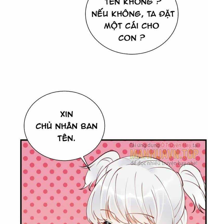 Tu Tiên Phải Dựa Vào Sugar Mommy - Chương 183 - ảnh 10