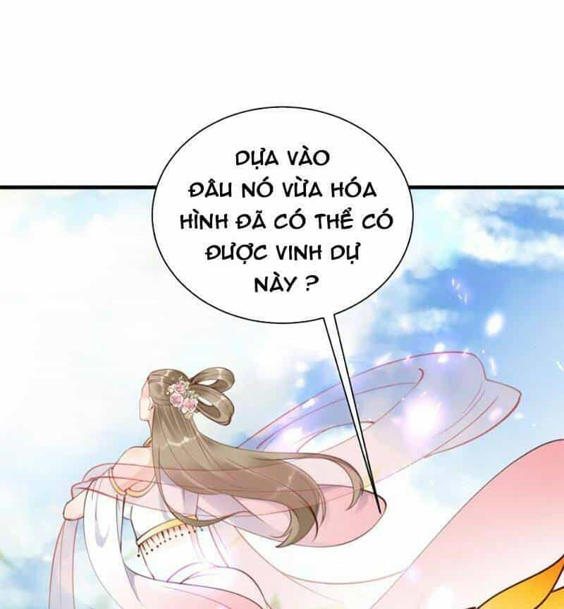 Tu Tiên Phải Dựa Vào Sugar Mommy - Chương 183 - ảnh 13