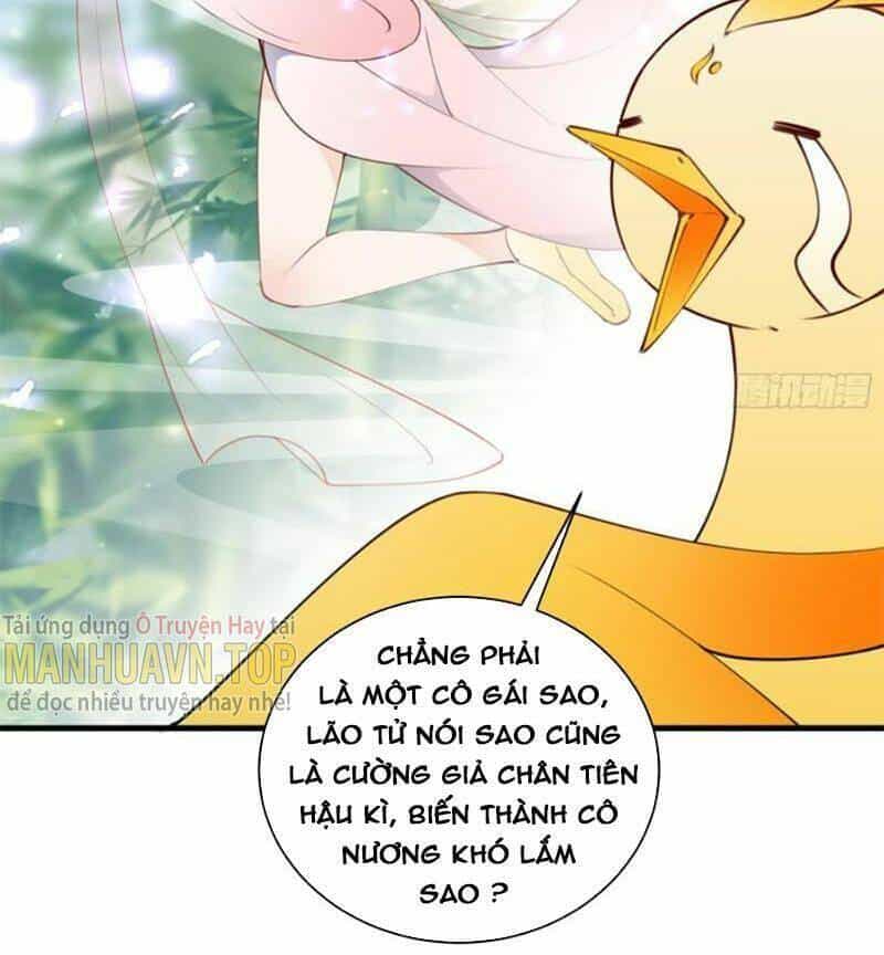 Tu Tiên Phải Dựa Vào Sugar Mommy - Chương 183 - ảnh 14