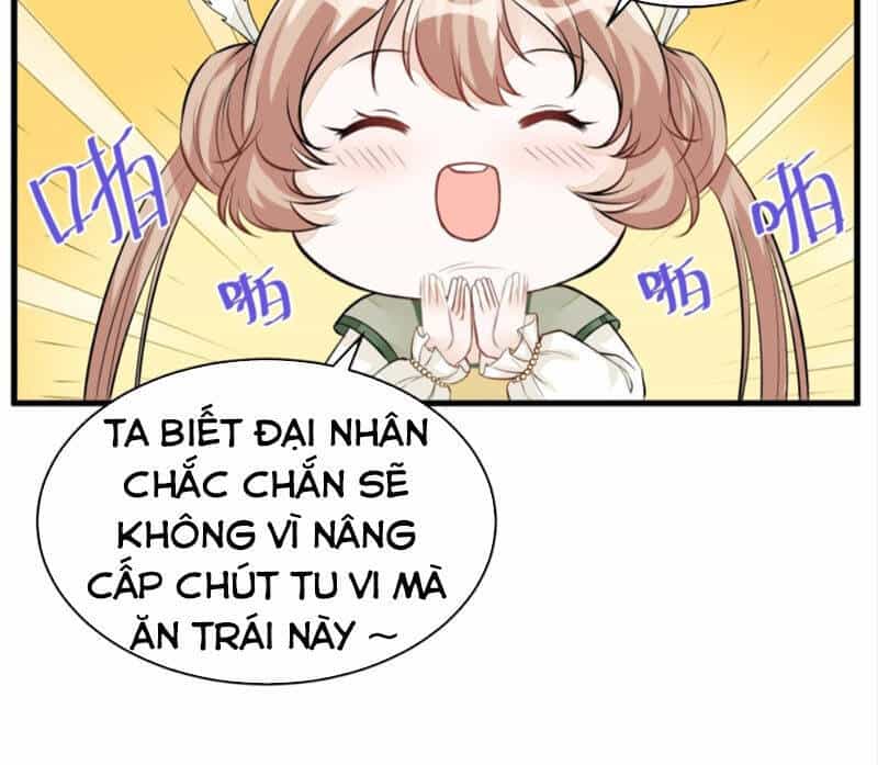 Tu Tiên Phải Dựa Vào Sugar Mommy - Chương 5 - ảnh 33
