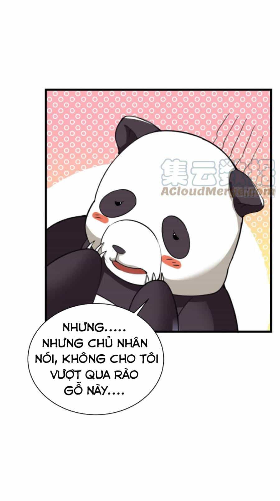 Tu Tiên Phải Dựa Vào Sugar Mommy - Chương 63 - ảnh 11