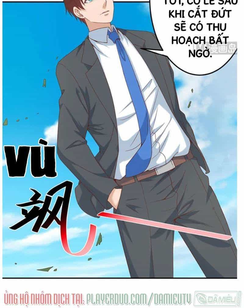 Tu Tiên Trở Về Tại Vườn Trường - Chương 44 - ảnh 5