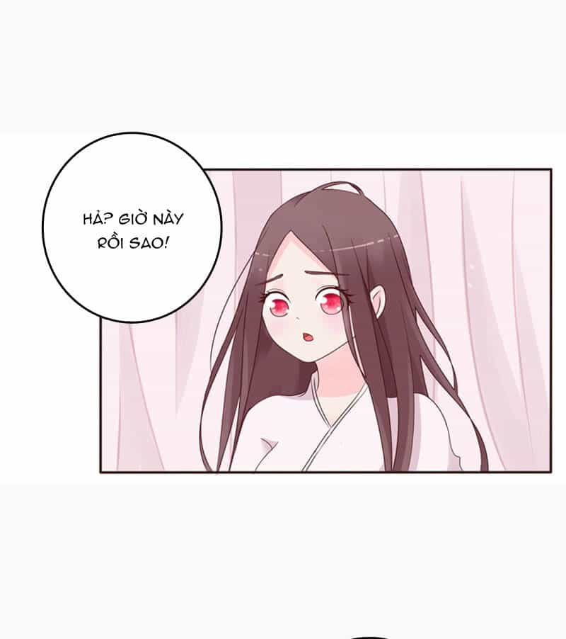 Tướng Quân Xin Xuất Chinh - Chương 1 - ảnh 14