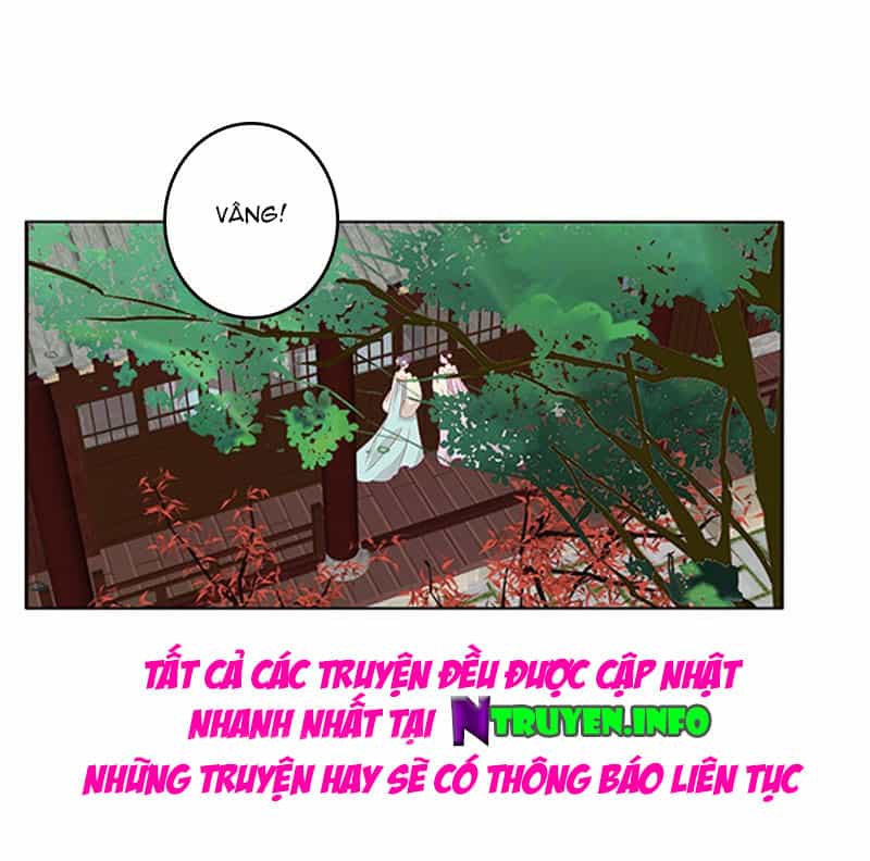 Tướng Quân Xin Xuất Chinh - Chương 111 - ảnh 16