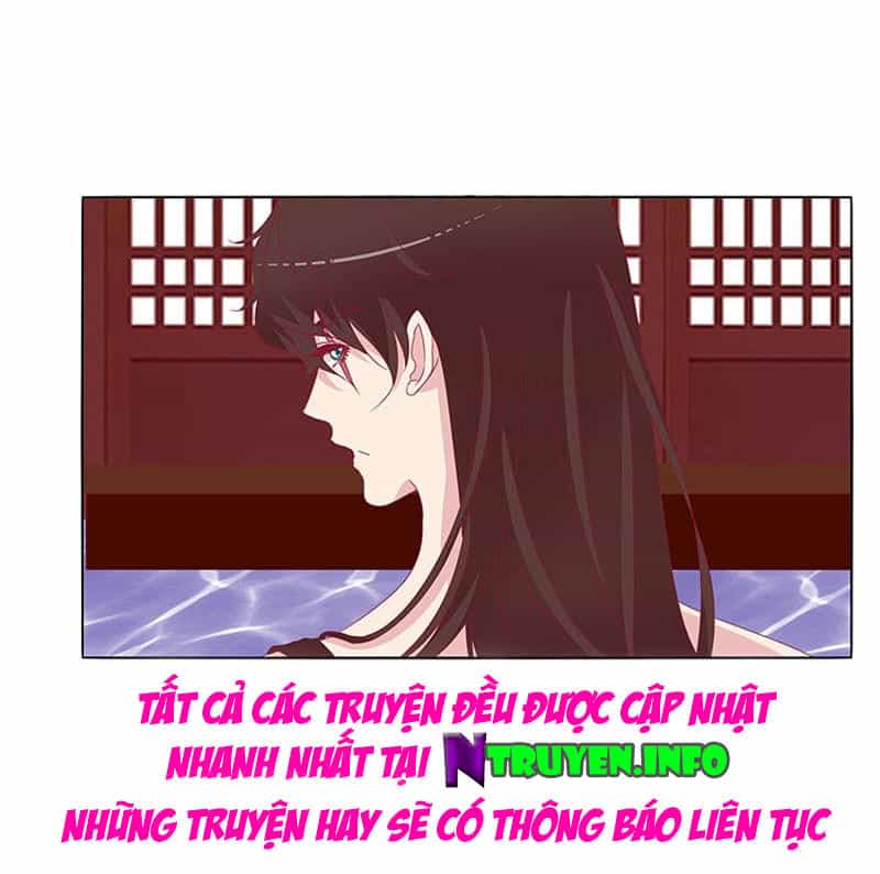 Tướng Quân Xin Xuất Chinh - Chương 37 - ảnh 16
