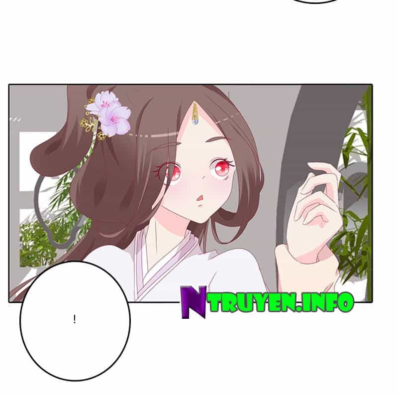 Tướng Quân Xin Xuất Chinh - Chương 68 - ảnh 13