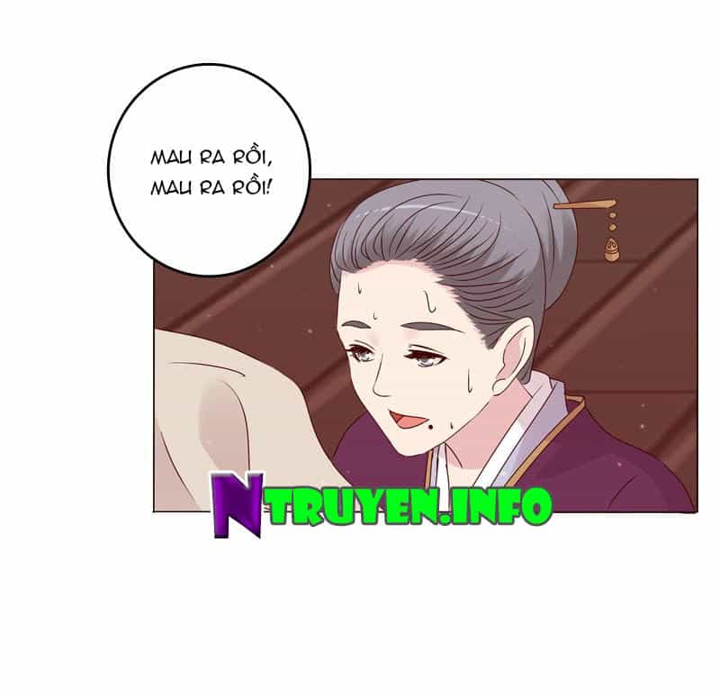 Tướng Quân Xin Xuất Chinh - Chương 7 - ảnh 12