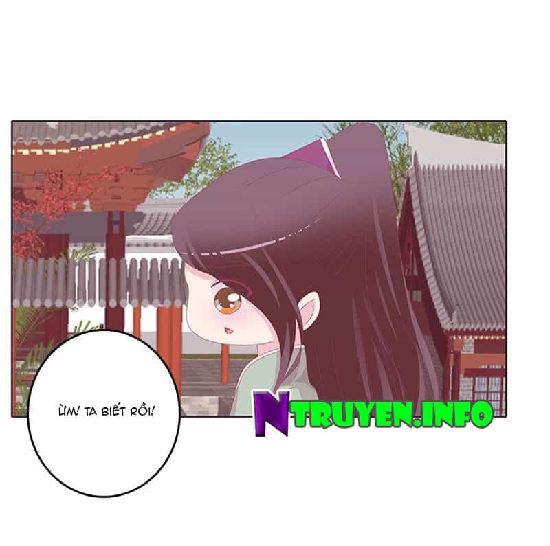 Tướng Quân Xin Xuất Chinh - Chương 74 - ảnh 16