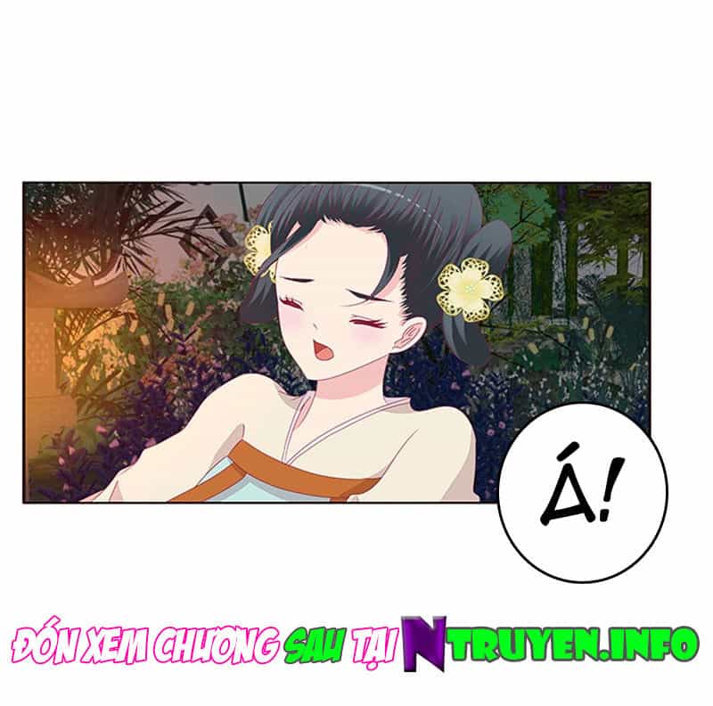 Tướng Quân Xin Xuất Chinh - Chương 89 - ảnh 26