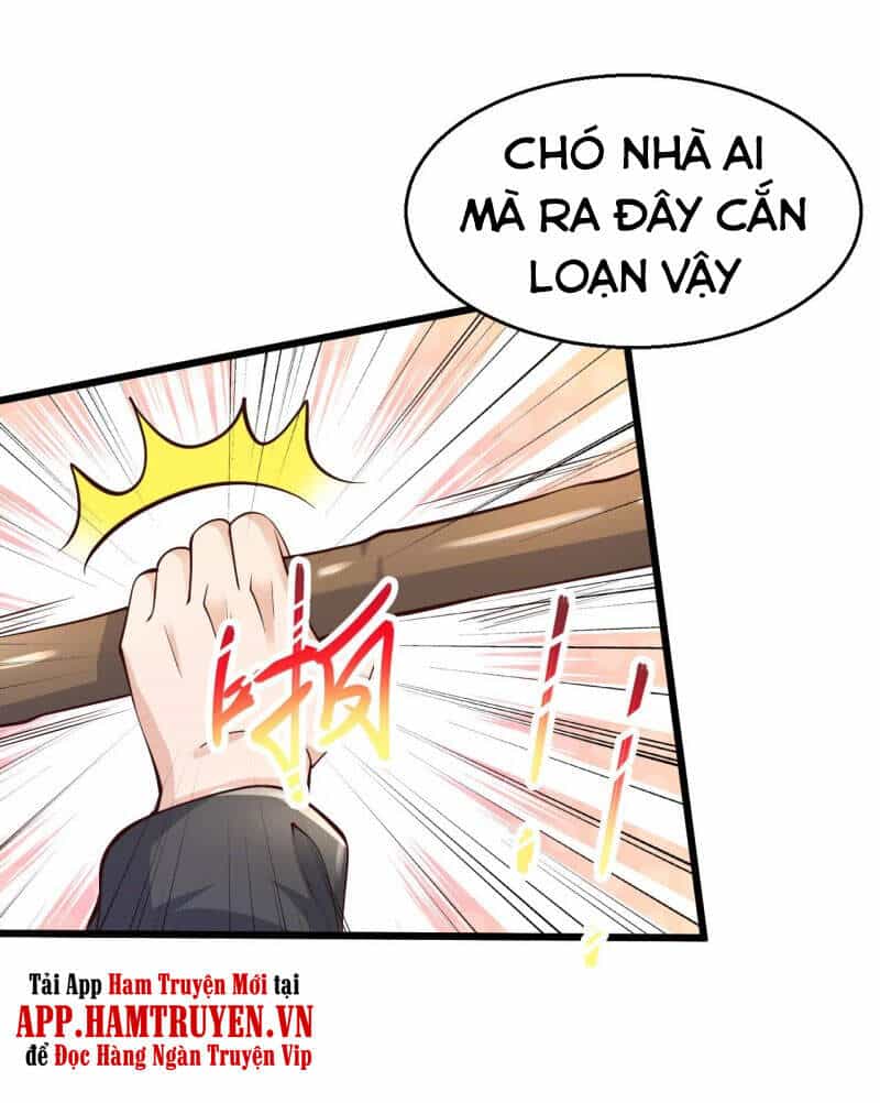 Tuyệt Phẩm Y Thánh - Chương 204 - ảnh 32