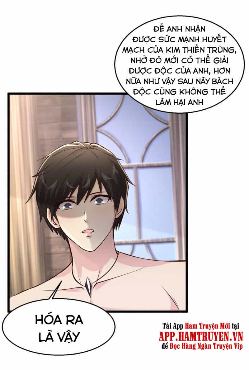 Tuyệt Phẩm Y Thánh - Chương 213 - ảnh 12