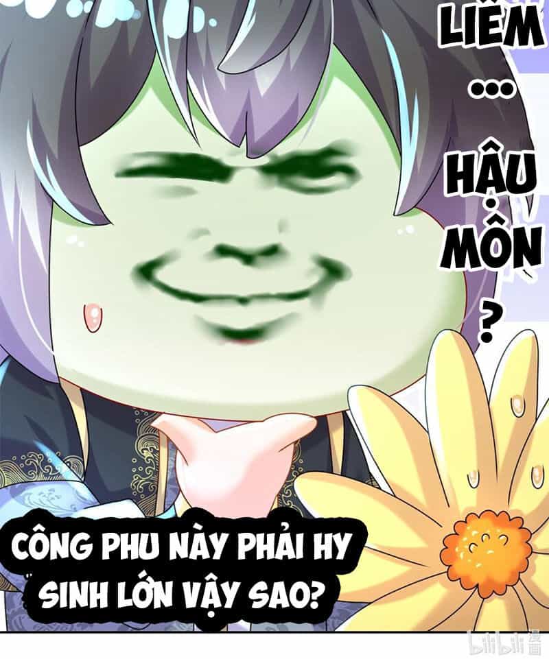 Tuyệt Sắc Đạo Lữ Đều Nói Ngô Hoàng Thể Chất Vô Địch - Chương 110 - ảnh 49