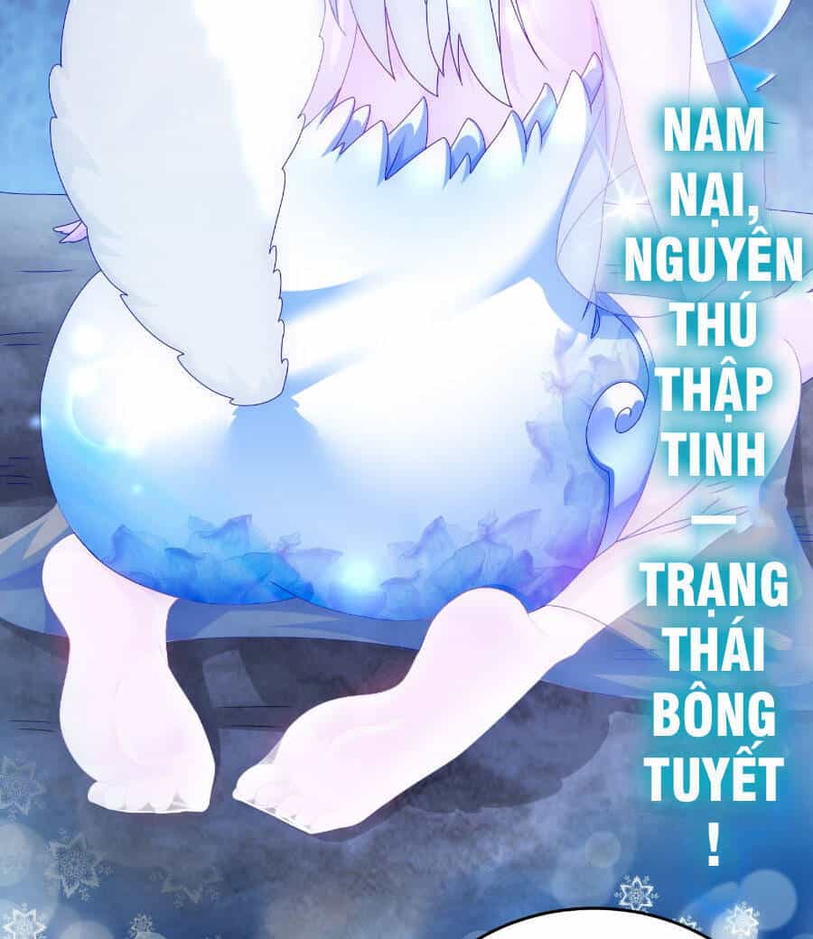 Tuyệt Sắc Đạo Lữ Đều Nói Ngô Hoàng Thể Chất Vô Địch - Chương 26 - ảnh 37