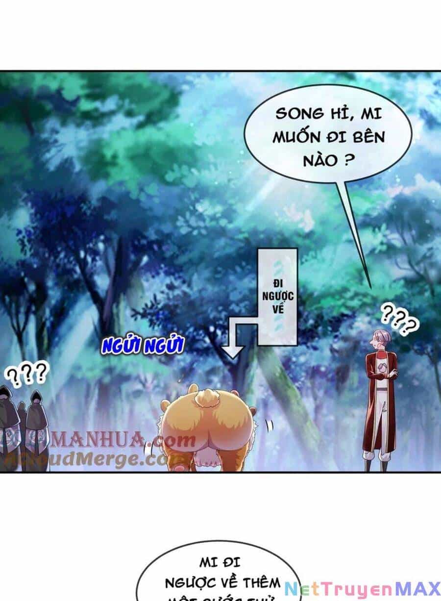 Tuyệt Sắc Đạo Lữ Đều Nói Ngô Hoàng Thể Chất Vô Địch - Chương 58 - ảnh 47
