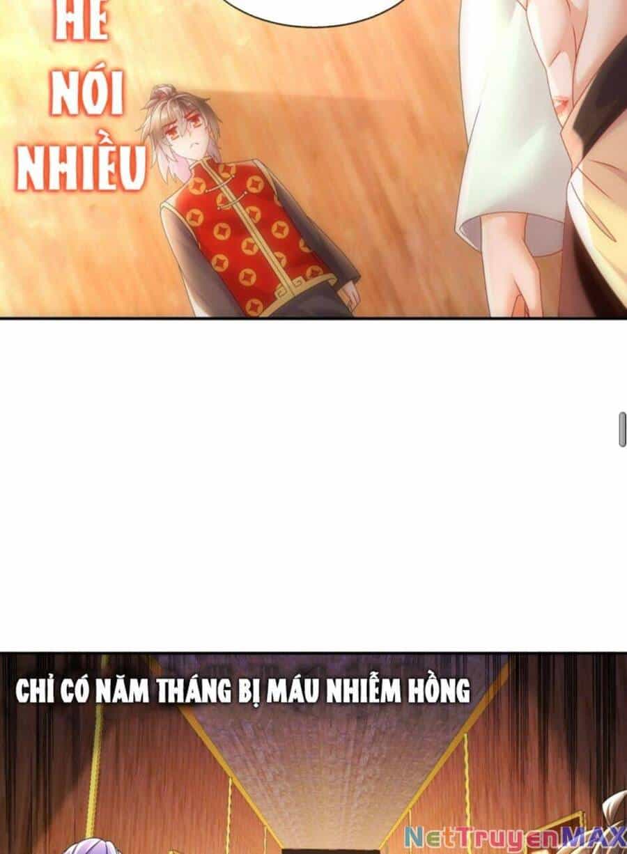 Tuyệt Sắc Đạo Lữ Đều Nói Ngô Hoàng Thể Chất Vô Địch - Chương 59 - ảnh 41