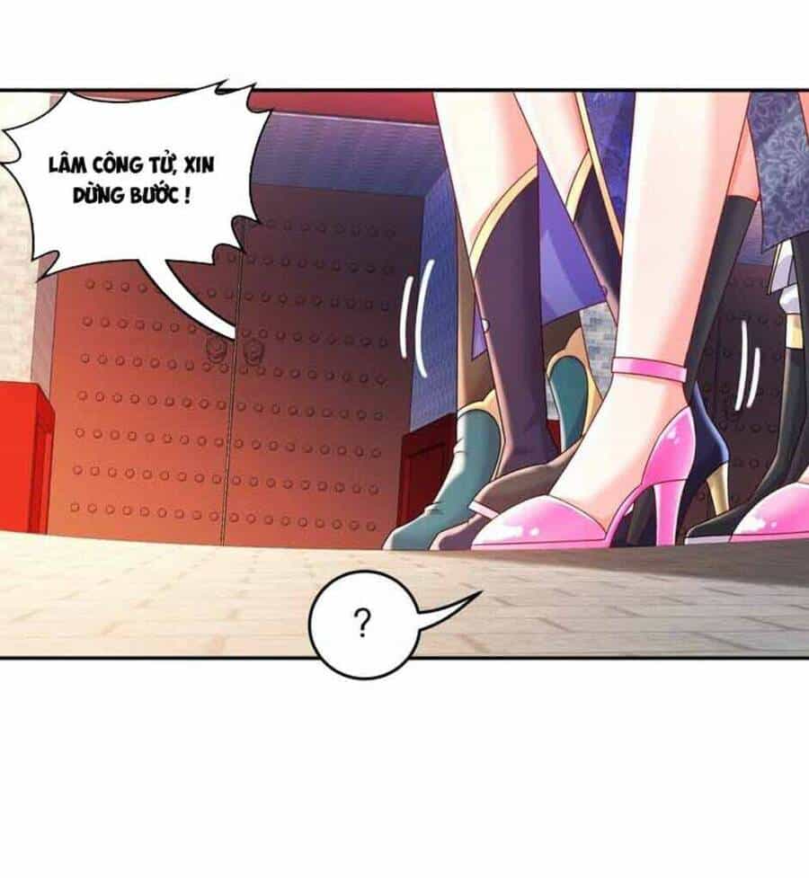 Tuyệt Sắc Đạo Lữ Đều Nói Ngô Hoàng Thể Chất Vô Địch - Chương 65 - ảnh 49