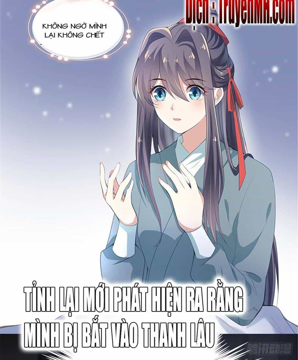 Tuyệt Sắc Nữ Y - Chương 0 - ảnh 5