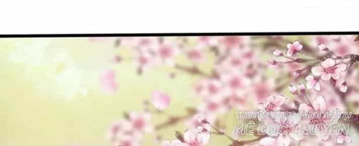 Tuyệt Sắc Quyến Rũ: Quỷ Y Chí Tôn - Chương 120 - ảnh 31