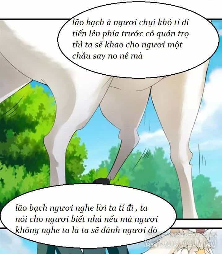 Tuyệt Sắc Quyến Rũ: Quỷ Y Chí Tôn - Chương 122 - ảnh 26