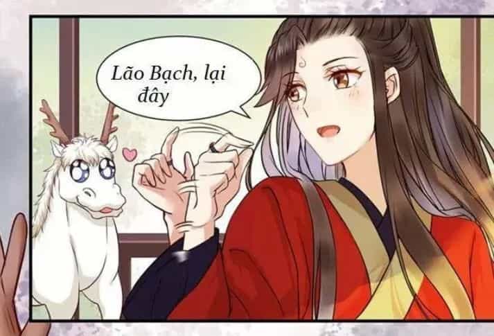 Tuyệt Sắc Quyến Rũ: Quỷ Y Chí Tôn - Chương 128 - ảnh 47