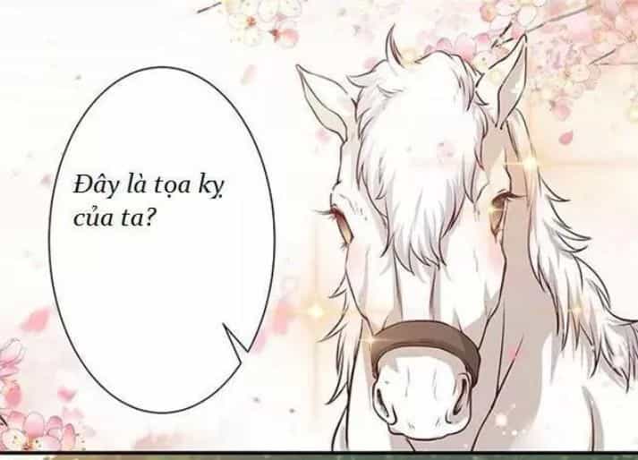 Tuyệt Sắc Quyến Rũ: Quỷ Y Chí Tôn - Chương 128 - ảnh 8