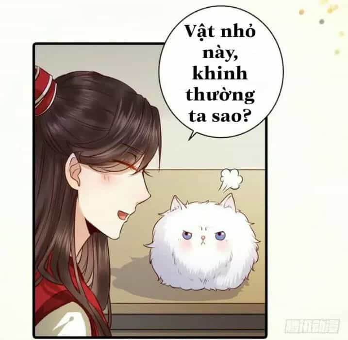Tuyệt Sắc Quyến Rũ: Quỷ Y Chí Tôn - Chương 138.1 - ảnh 25