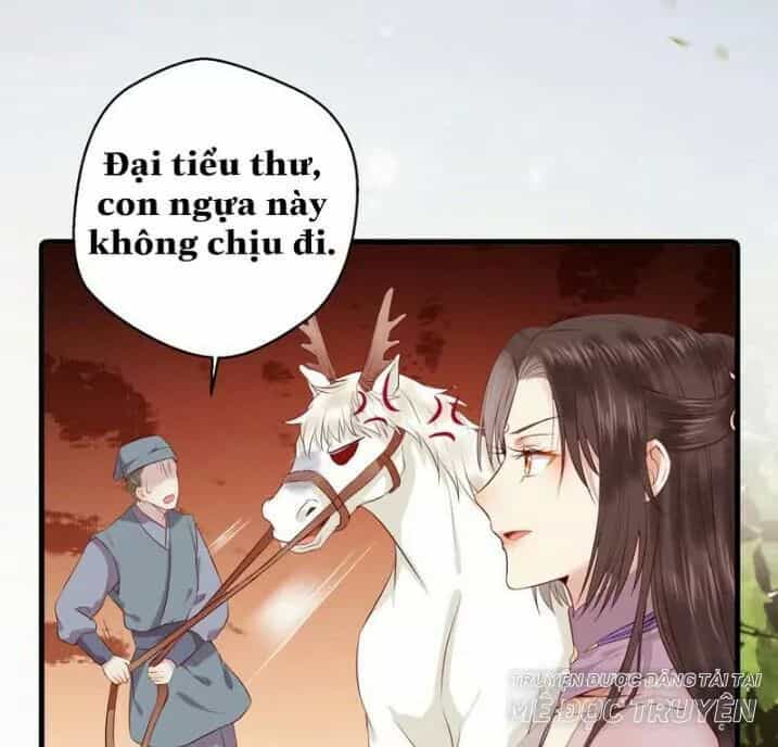Tuyệt Sắc Quyến Rũ: Quỷ Y Chí Tôn - Chương 145.1 - ảnh 21