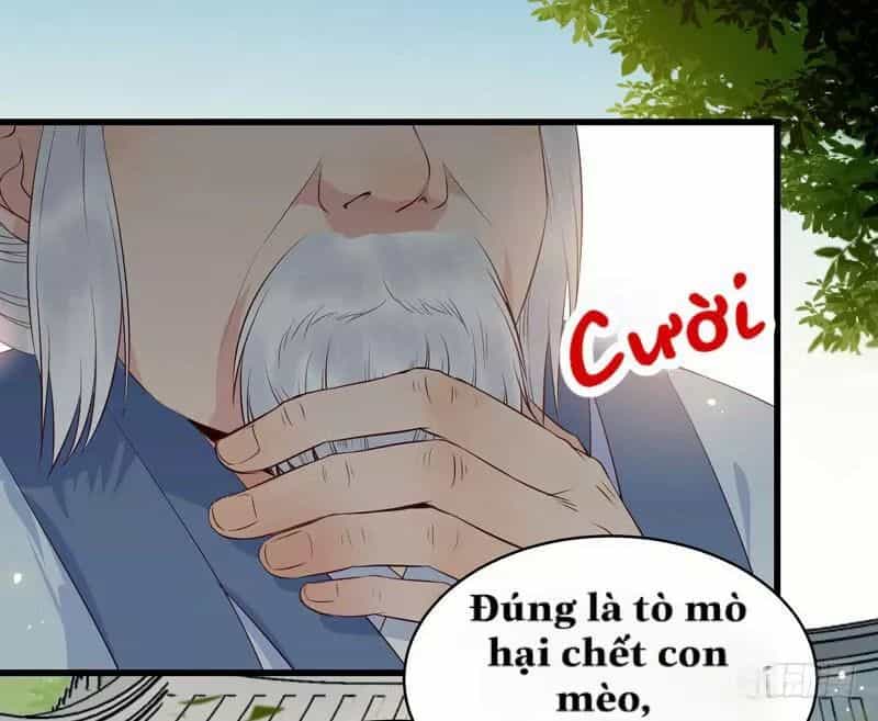 Tuyệt Sắc Quyến Rũ: Quỷ Y Chí Tôn - Chương 150 - ảnh 44