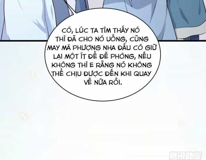 Tuyệt Sắc Quyến Rũ: Quỷ Y Chí Tôn - Chương 157 - ảnh 29