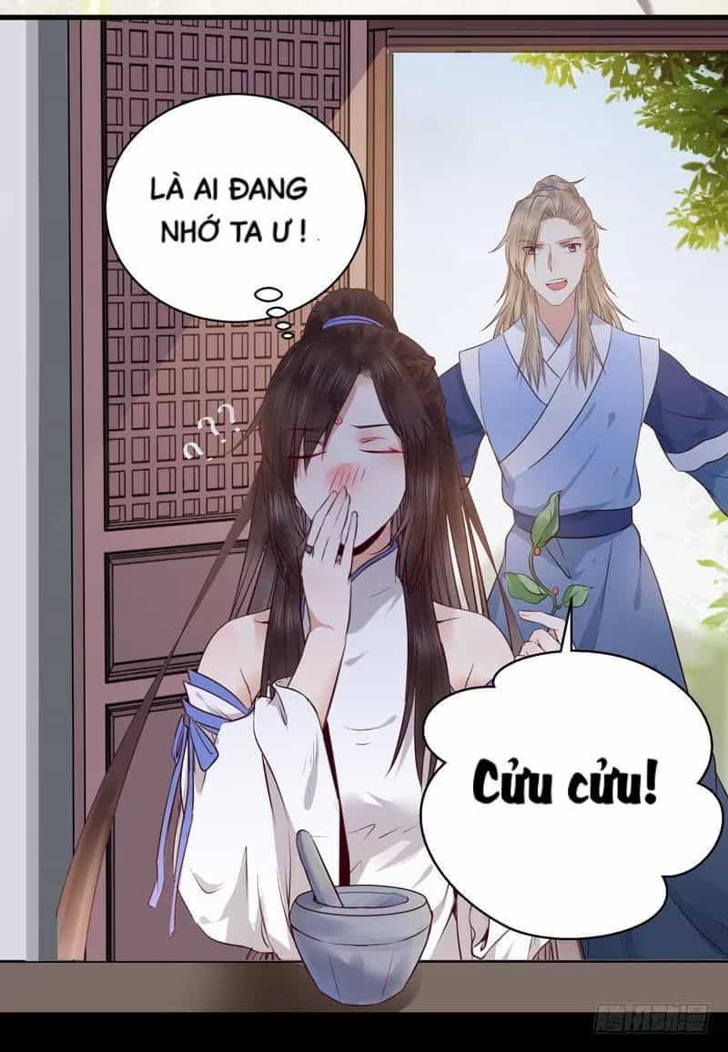 Tuyệt Sắc Quyến Rũ: Quỷ Y Chí Tôn - Chương 162 - ảnh 42