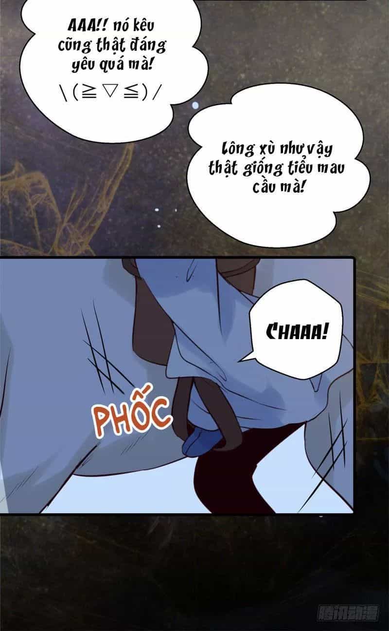 Tuyệt Sắc Quyến Rũ: Quỷ Y Chí Tôn - Chương 173 - ảnh 22